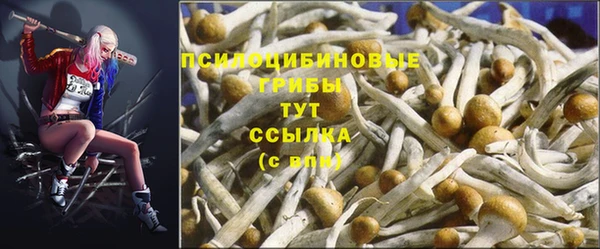 героин Коряжма