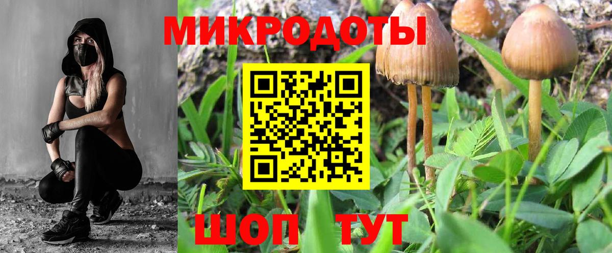 Псилоцибиновые грибы Psilocybine cubensis  Батайск 