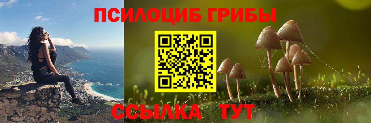 Батайск  Псилоцибиновые грибы Cubensis  Вход с VPN 